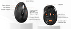 Meetion BTM008 Dual Mode Ergronomic Wireless Mouse